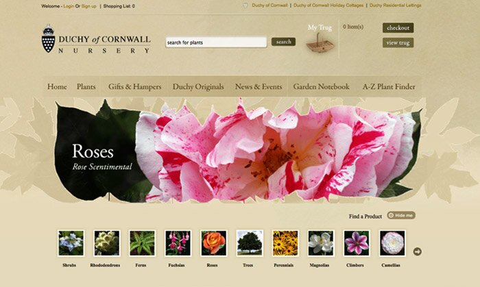 Website designers Cornwall
