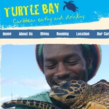 Ecommerce Web Design - Turtle Bay